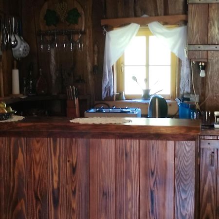 Vacation House Spiritus Flumine Netretic Esterno foto